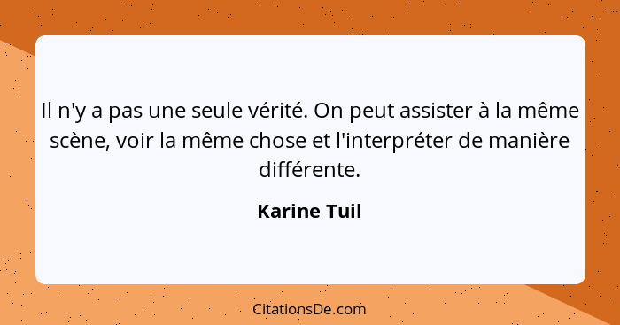 Il n'y a pas une seule vérité. On peut assister à la même scène, voir la même chose et l'interpréter de manière différente.... - Karine Tuil