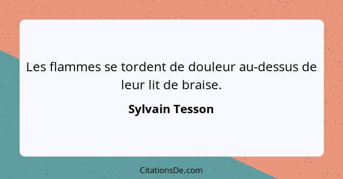 Les flammes se tordent de douleur au-dessus de leur lit de braise.... - Sylvain Tesson