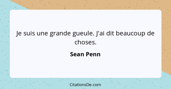 Je suis une grande gueule. J'ai dit beaucoup de choses.... - Sean Penn