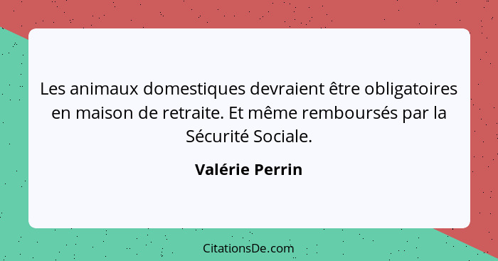 Les animaux domestiques devraient être obligatoires en maison de retraite. Et même remboursés par la Sécurité Sociale.... - Valérie Perrin