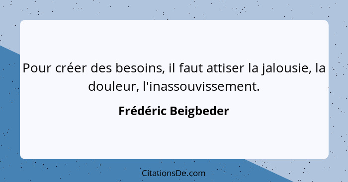 Pour créer des besoins, il faut attiser la jalousie, la douleur, l'inassouvissement.... - Frédéric Beigbeder