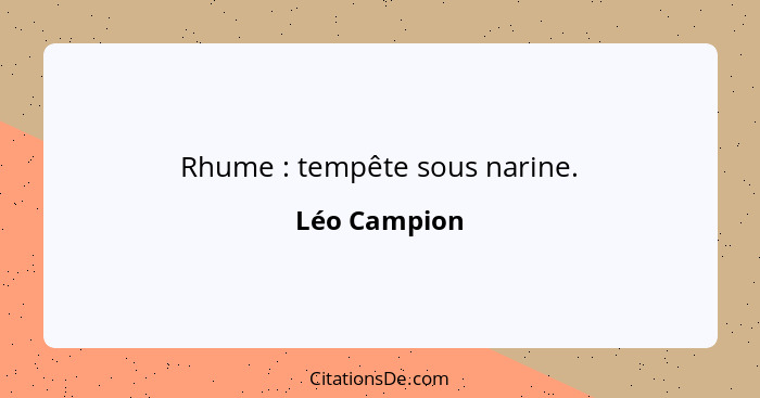 Rhume : tempête sous narine.... - Léo Campion
