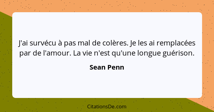 J'ai survécu à pas mal de colères. Je les ai remplacées par de l'amour. La vie n'est qu'une longue guérison.... - Sean Penn