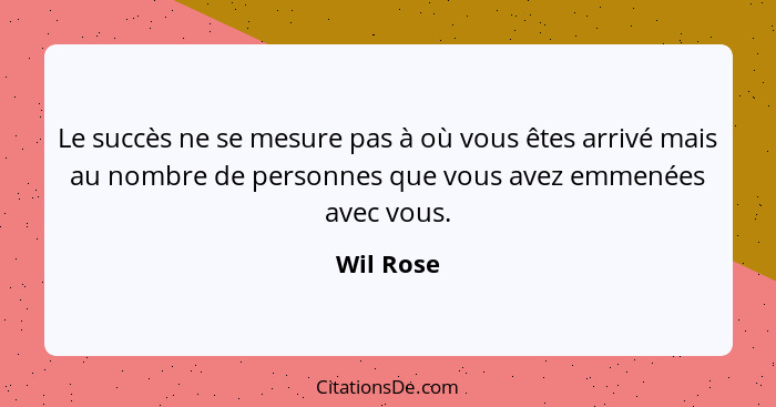 Le succès ne se mesure pas à où vous êtes arrivé mais au nombre de personnes que vous avez emmenées avec vous.... - Wil Rose