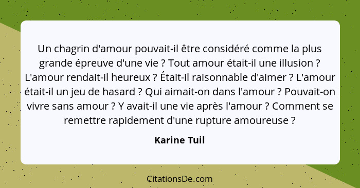 Un chagrin d'amour pouvait-il être considéré comme la plus grande épreuve d'une vie ? Tout amour était-il une illusion ? L'amo... - Karine Tuil