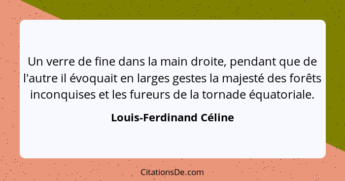 Un verre de fine dans la main droite, pendant que de l'autre il évoquait en larges gestes la majesté des forêts inconquises e... - Louis-Ferdinand Céline