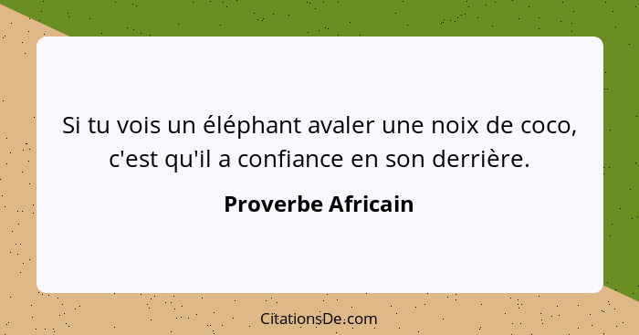 Si tu vois un éléphant avaler une noix de coco, c'est qu'il a confiance en son derrière.... - Proverbe Africain