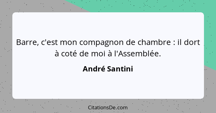 Barre, c'est mon compagnon de chambre : il dort à coté de moi à l'Assemblée.... - André Santini