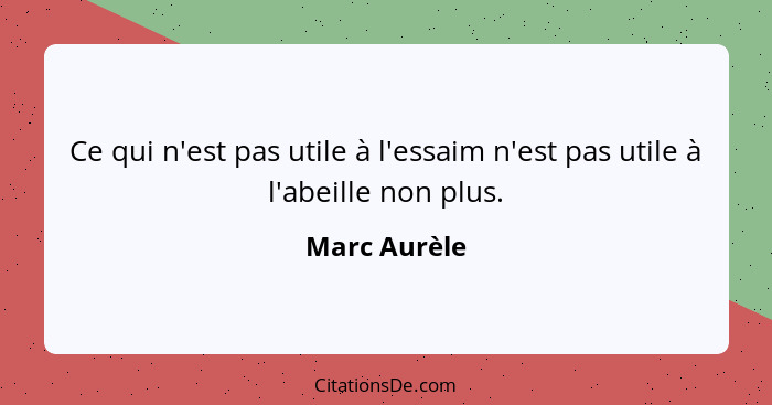 Ce qui n'est pas utile à l'essaim n'est pas utile à l'abeille non plus.... - Marc Aurèle