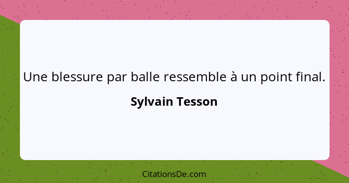 Une blessure par balle ressemble à un point final.... - Sylvain Tesson