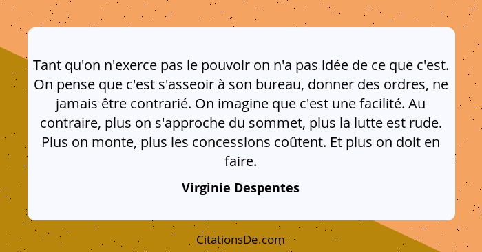 Tant qu'on n'exerce pas le pouvoir on n'a pas idée de ce que c'est. On pense que c'est s'asseoir à son bureau, donner des ordres,... - Virginie Despentes