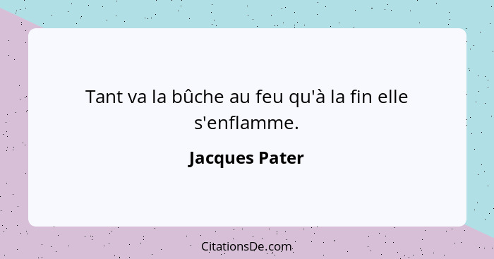 Tant va la bûche au feu qu'à la fin elle s'enflamme.... - Jacques Pater