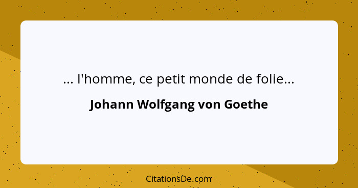 ... l'homme, ce petit monde de folie...... - Johann Wolfgang von Goethe