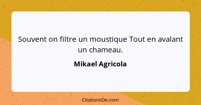 Souvent on filtre un moustique Tout en avalant un chameau.... - Mikael Agricola