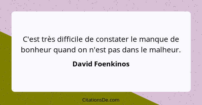 C'est très difficile de constater le manque de bonheur quand on n'est pas dans le malheur.... - David Foenkinos