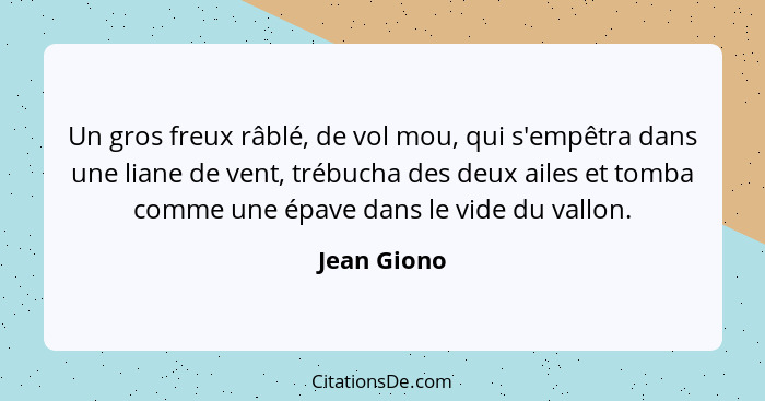 Un gros freux râblé, de vol mou, qui s'empêtra dans une liane de vent, trébucha des deux ailes et tomba comme une épave dans le vide du v... - Jean Giono