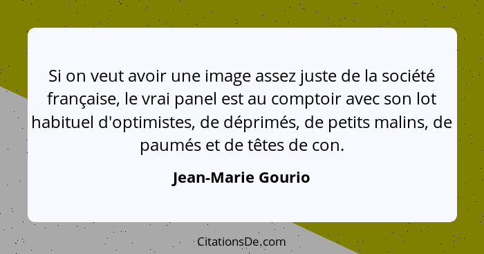 Si on veut avoir une image assez juste de la société française, le vrai panel est au comptoir avec son lot habituel d'optimistes,... - Jean-Marie Gourio