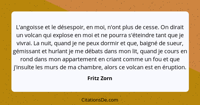 L'angoisse et le désespoir, en moi, n'ont plus de cesse. On dirait un volcan qui explose en moi et ne pourra s'éteindre tant que je vivra... - Fritz Zorn