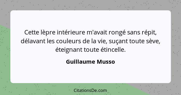Cette lèpre intérieure m'avait rongé sans répit, délavant les couleurs de la vie, suçant toute sève, éteignant toute étincelle.... - Guillaume Musso