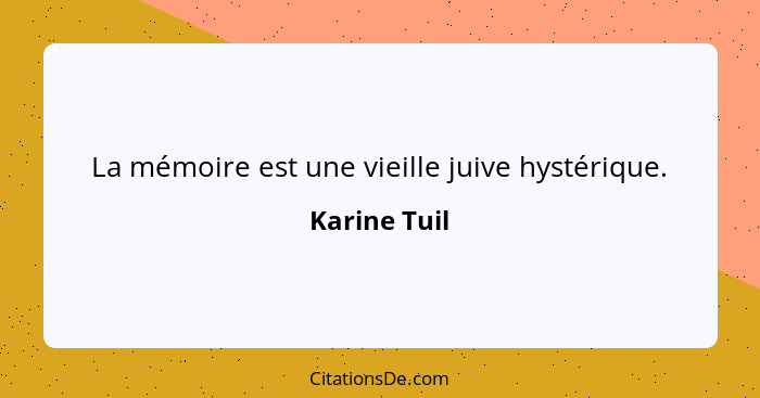 La mémoire est une vieille juive hystérique.... - Karine Tuil