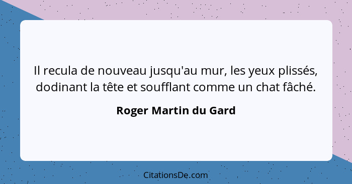 Il recula de nouveau jusqu'au mur, les yeux plissés, dodinant la tête et soufflant comme un chat fâché.... - Roger Martin du Gard