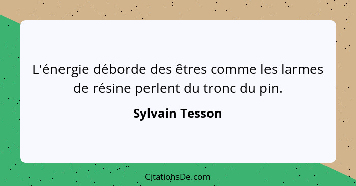 L'énergie déborde des êtres comme les larmes de résine perlent du tronc du pin.... - Sylvain Tesson