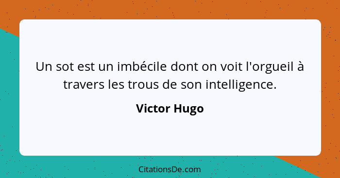 Un sot est un imbécile dont on voit l'orgueil à travers les trous de son intelligence.... - Victor Hugo