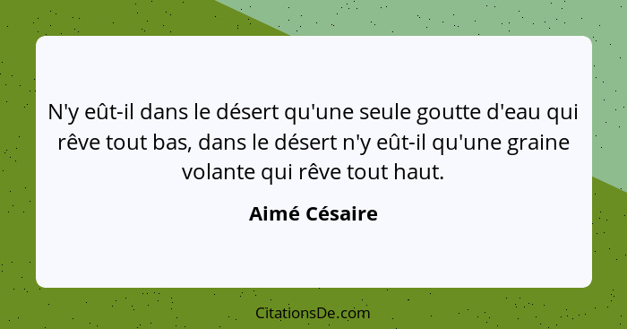 N'y eût-il dans le désert qu'une seule goutte d'eau qui rêve tout bas, dans le désert n'y eût-il qu'une graine volante qui rêve tout ha... - Aimé Césaire