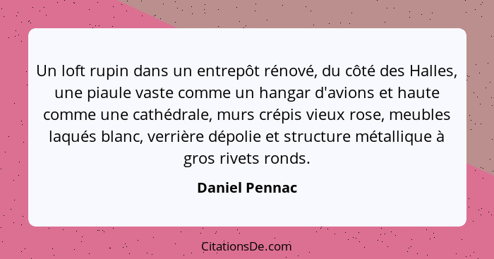 Un loft rupin dans un entrepôt rénové, du côté des Halles, une piaule vaste comme un hangar d'avions et haute comme une cathédrale, mu... - Daniel Pennac