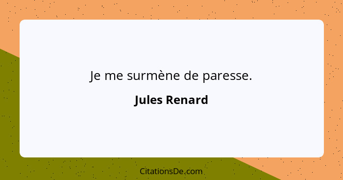 Je me surmène de paresse.... - Jules Renard