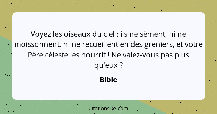 Voyez les oiseaux du ciel : ils ne sèment, ni ne moissonnent, ni ne recueillent en des greniers, et votre Père céleste les nourrit !... - Bible