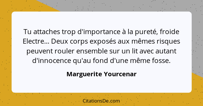 Tu attaches trop d'importance à la pureté, froide Electre... Deux corps exposés aux mêmes risques peuvent rouler ensemble sur u... - Marguerite Yourcenar