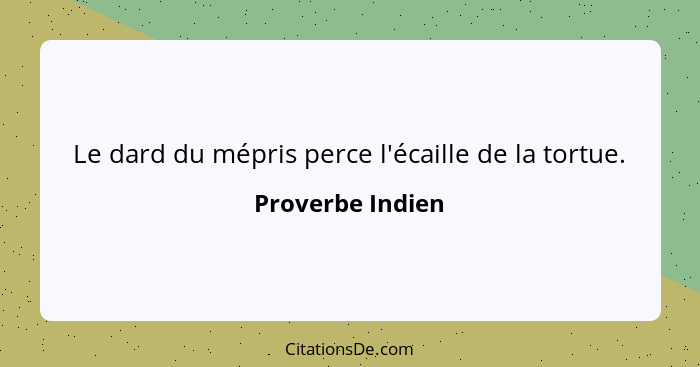 Le dard du mépris perce l'écaille de la tortue.... - Proverbe Indien