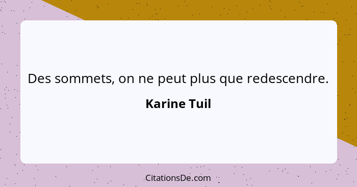 Des sommets, on ne peut plus que redescendre.... - Karine Tuil