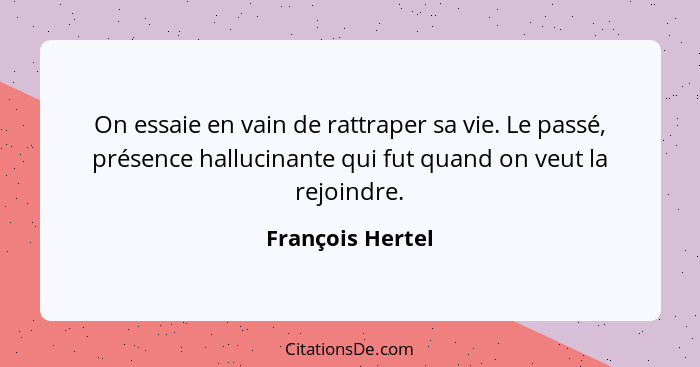 On essaie en vain de rattraper sa vie. Le passé, présence hallucinante qui fut quand on veut la rejoindre.... - François Hertel