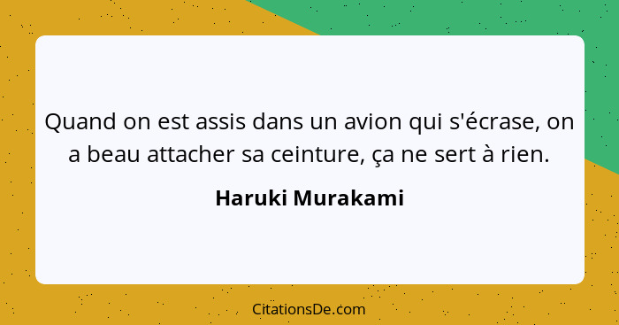 Quand on est assis dans un avion qui s'écrase, on a beau attacher sa ceinture, ça ne sert à rien.... - Haruki Murakami