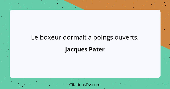 Le boxeur dormait à poings ouverts.... - Jacques Pater