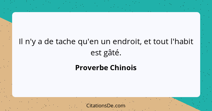 Il n'y a de tache qu'en un endroit, et tout l'habit est gâté.... - Proverbe Chinois