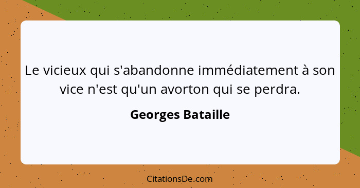 Le vicieux qui s'abandonne immédiatement à son vice n'est qu'un avorton qui se perdra.... - Georges Bataille