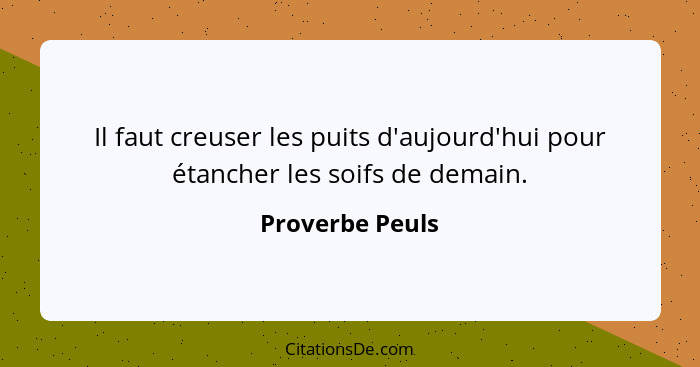 Il faut creuser les puits d'aujourd'hui pour étancher les soifs de demain.... - Proverbe Peuls