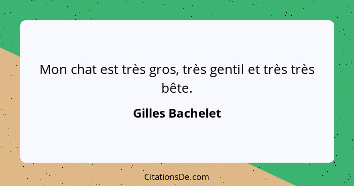 Mon chat est très gros, très gentil et très très bête.... - Gilles Bachelet