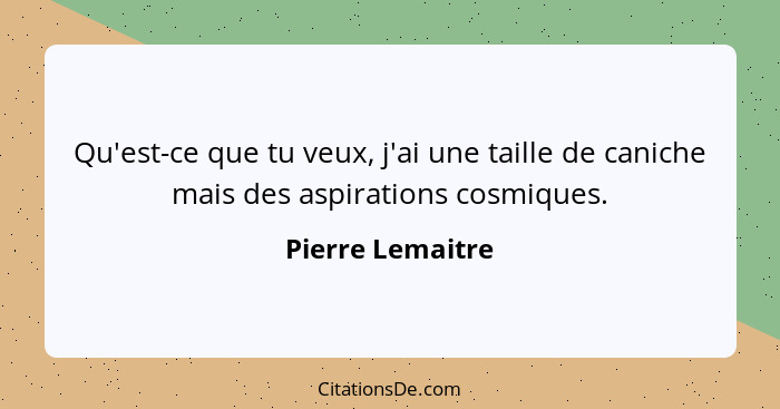 Qu'est-ce que tu veux, j'ai une taille de caniche mais des aspirations cosmiques.... - Pierre Lemaitre