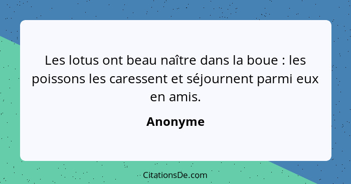 Les lotus ont beau naître dans la boue : les poissons les caressent et séjournent parmi eux en amis.... - Anonyme