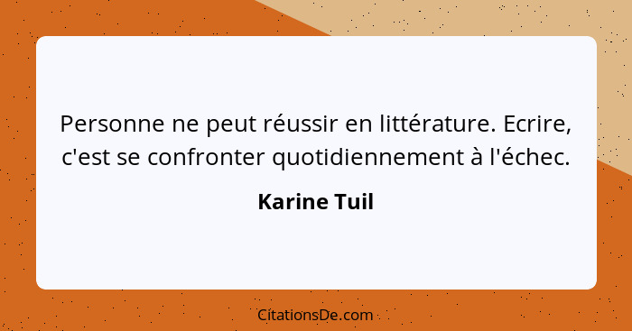 Personne ne peut réussir en littérature. Ecrire, c'est se confronter quotidiennement à l'échec.... - Karine Tuil