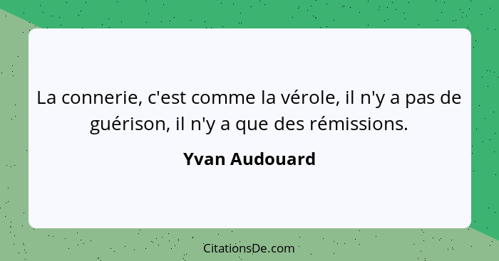 La connerie, c'est comme la vérole, il n'y a pas de guérison, il n'y a que des rémissions.... - Yvan Audouard