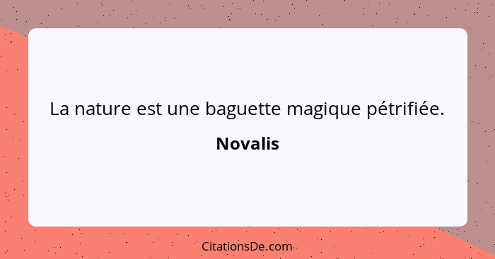 La nature est une baguette magique pétrifiée.... - Novalis