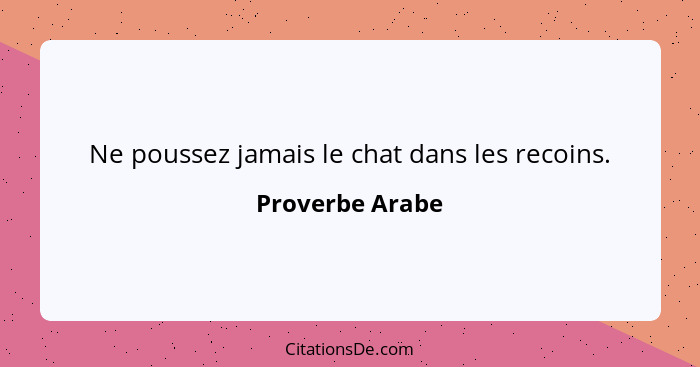 Ne poussez jamais le chat dans les recoins.... - Proverbe Arabe