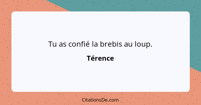 Tu as confié la brebis au loup.... - Térence