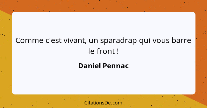 Comme c'est vivant, un sparadrap qui vous barre le front !... - Daniel Pennac