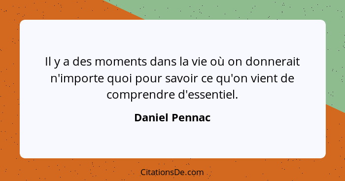 Il y a des moments dans la vie où on donnerait n'importe quoi pour savoir ce qu'on vient de comprendre d'essentiel.... - Daniel Pennac